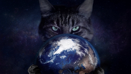 Space Cat - space, earth, animal, cat