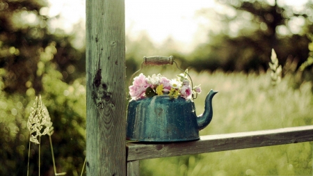 Still Life - kettle, wood, flowers, still life