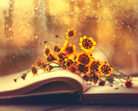 Still Life - flowers, still life, window, book