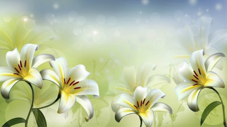 White Lilies - flowers, Firefox Persona theme, lilies, summer, Easter