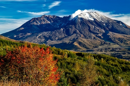 Mount St Helena - Mountains, Trees, Valley, Nature, USA, St Helena