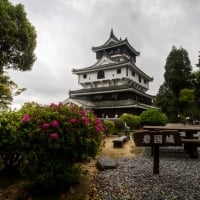 Iwakuni Castle