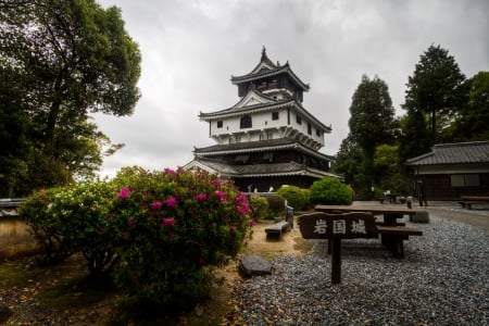 Iwakuni Castle - nature, japan, castle, scenery, japanese, iwakuni, spring