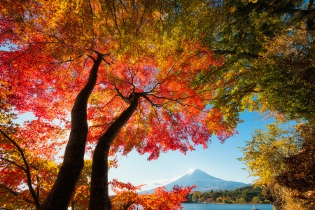 Fuji in Autumn - japan, scenery, fuji, japanese, mountain, autumn