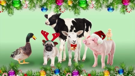 christmas animals - animal, friends, background, christmas