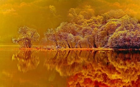 Orange Lake Reflection - nature, autumn, lake, fall, forest, reflection, orange, serenity