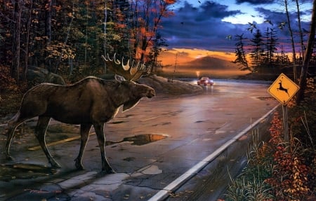 Moose in Evening Light - sky, street, landscape, clouds, sunset