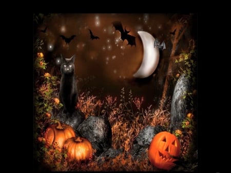 Halloween - moon, night, halloween, pumpkins