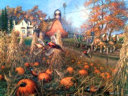 October gatherings - house, field, country, pumpkins