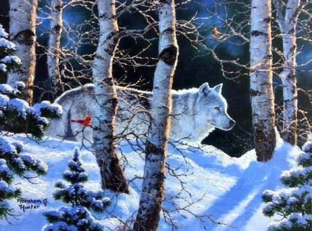 The Lone White Wolf - xmas and new year, attractions in dreams, forests, animals, winter, wolf, nature, cardinals, love four seasons, white trees, snow, paintings