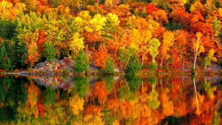 Lake in Reflection - autumn, trees, water, shore, mirrored, foliage, nature, bank, forest, reflection, river, colors