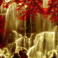 Autumn Cascading Waterfall