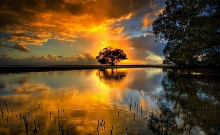 Sunset Lake - Sunset, Lake, Tree, Nature