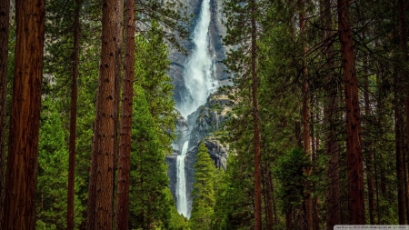 Mountain Waterfall