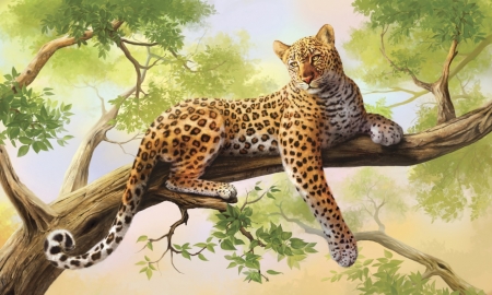 Leopard - ghepard, leopard, animal, luminos, art