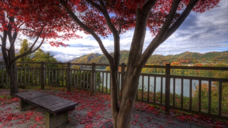 Riverside Autumn - clouds, hills, red, bench, tree, sky, leaves