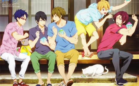 Free! Iwatobi Swim Club - free, cute, kawaii, cat, rin matsuoka, anime guys, anime, iwatobi chan, ice cream, male, boys, free iwatobi swim club, haruka nanase, rei ryugazaki, nagisa hazuki, makoto tachibana