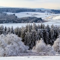 Poppenhausen, Germany Snow Forest