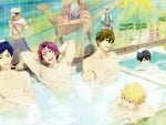 Free! Iwatobi Swim Club