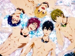 Free! Iwatobi Swim Club