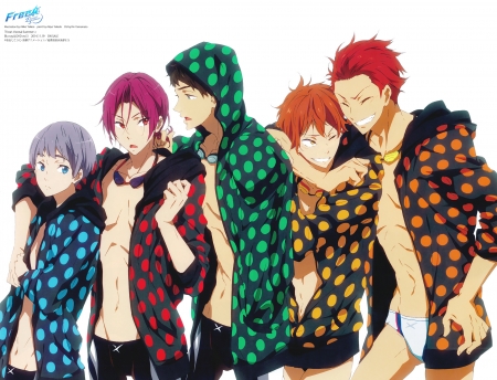 Free! - momotaro, samezuka, cute, nitori aichiro, seijuro, rin matsuoka, anime guys, anime, swimsuits, male, boys, hoodies, sousuke yamazaki