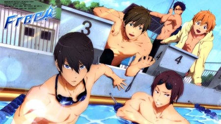 Free! - Cute, Pool, Free Iwatobi Swim Club, Swimming, Rin Matsuoka, Anime, Swimsuits, Makoto Tachibana, Water, Nagisa Hazuki, Anime guys, Rei Ryugazaki, Male, Haruka Nanase