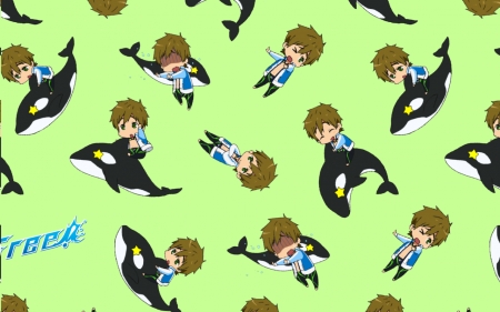 Makoto Tachibana - Free, Cute, Whale, Kawaii, Anime, Chibi, Makoto Tachibana, Anime boy, Free iwatobi swim club, Male