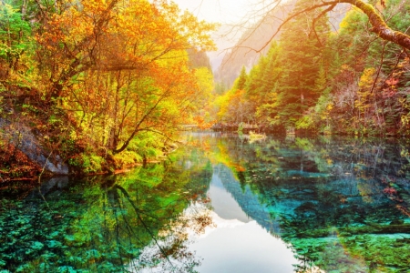 â™¥ - greenery, nature, trees, river