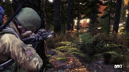 DayZ - fps, survival, pc, video game, shooter, gaming, dayz, open world, game