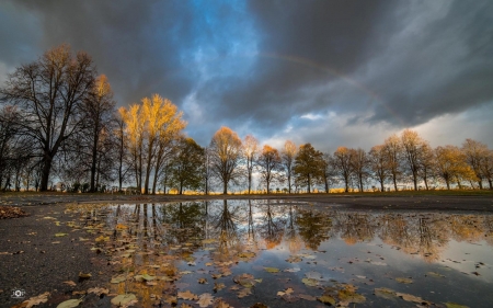 Rainy Autumn in Latvia - clouds, trees, rain, autumn