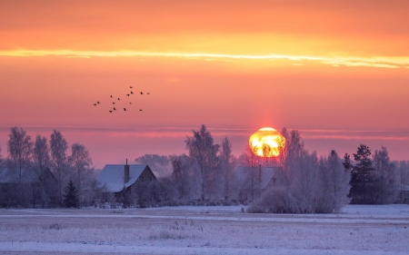 Winter Sunrise in Latvia - sunrise, trees, winter, houses