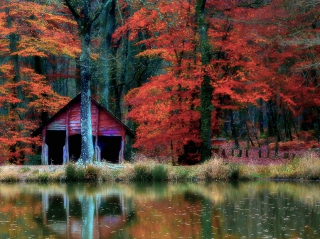 Lakeside Cottage - house, trees, water, forest, reflection, nature, autumn, lake, cottage