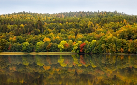 Colors of Autumn - trees, nature, autumn, lake, forest, reflection