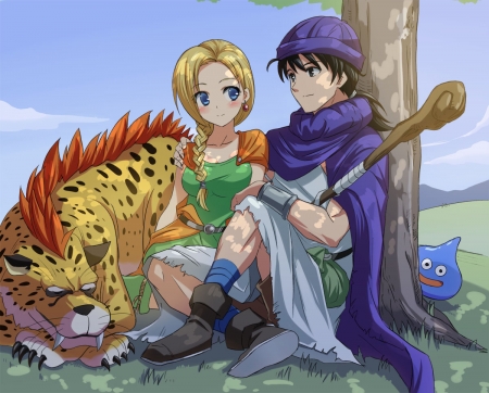 Dragon Quest V