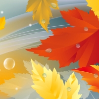 Autumn leaves