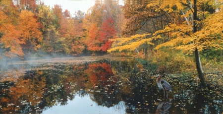 Autumn Eternal - fall, trees, lakeside, colors, leaves