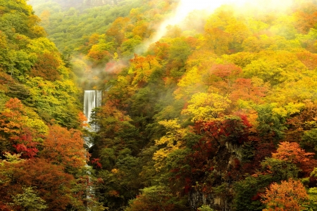 Misty autumn mountain - autumn, trees, mountain, waterfall, mist, view, fall, forest, beautiful, colors