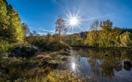 Morning Sunshine in Early Autumn - water, reflection, landscape, river, trees, sun