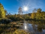 Morning Sunshine in Early Autumn