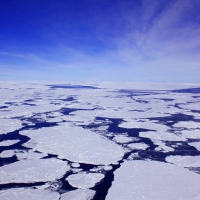 sea ice