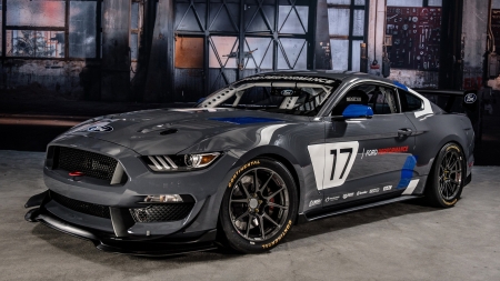 2017 Ford Mustang GT4 - race, wing, ground effects, mustang, ford, gray