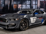 2017 Ford Mustang GT4