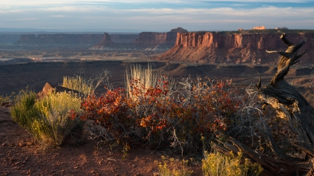 in the desert - nature, fun, canyon, cool, desert