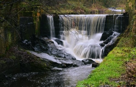 waterfall in the forest - cool, river, waterfall, fun, nature