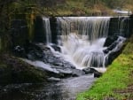 waterfall in the forest