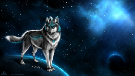 Wolf - abstract, animal, predator, wolf, night