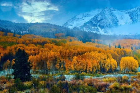 Autumn in Colorado - trees, rivers, photography, fall, colorful, forests, nature, autumn, landscapes, Colorado, mountains