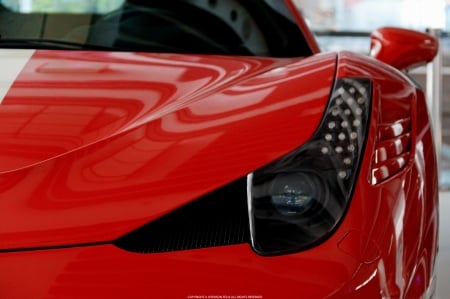 Ferrari 458 Speciale - ferrari, 458, car, speciale