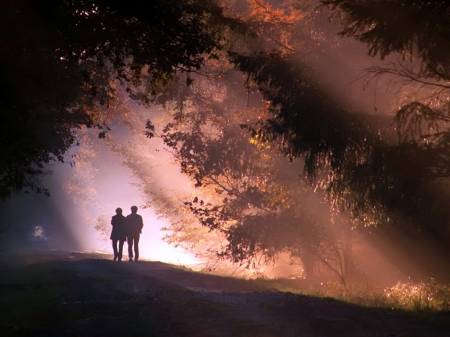 Strolling together - couple, evening, trees, mist