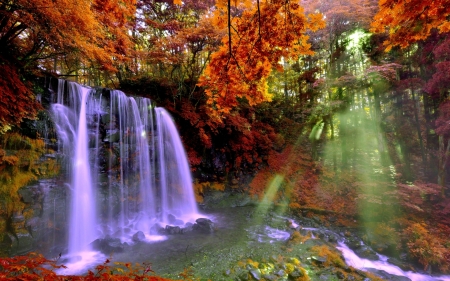 Autumn Waterfall - trees, rock, sunshine, sunbeam, forest, fall, nature, waterfall, autumn, foliage